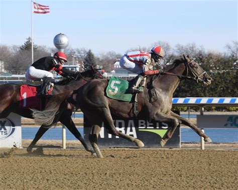 2021 preakness stakes entries|2021 Preakness Stakes .